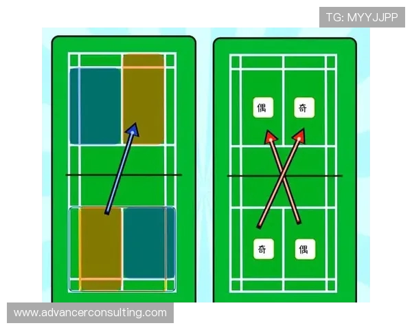 武汉羽毛球队的战术革新与转换打法深度解析