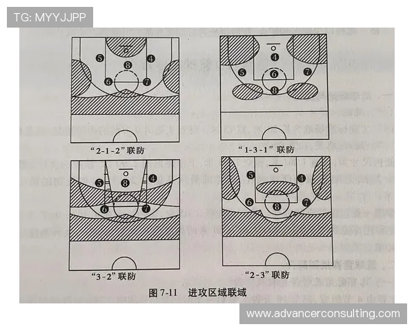 深圳篮球队战术表现深度分析与数据解读探讨 深圳篮球队战术表现深度分析与数据解读探讨