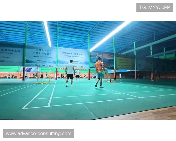 羽毛球的力量与坚持：深入南京羽毛球队的耐力训练揭秘