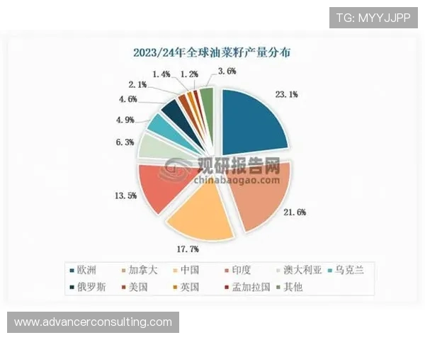 墨西哥与VSM的深度对比分析及其在全球市场中的影响探讨 墨西哥与VSM的深度对比分析及其在全球市场中的影响探讨