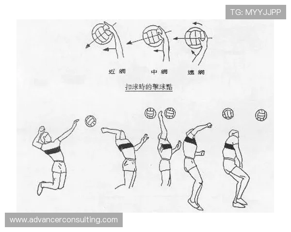 从零起步掌握排球配合技巧全攻略助你成为排球场上的明星选手