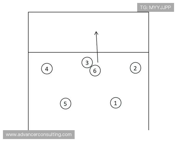 北京排球队进攻战术解析与球员表现的深度剖析 北京排球队进攻战术解析与球员表现的深度剖析
