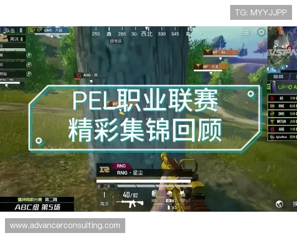 和平精英最新状态排行榜揭晓RNG战队荣登第一名引发热议