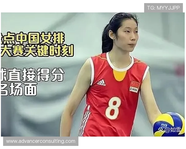 排球热点：解读上海排球队的运营